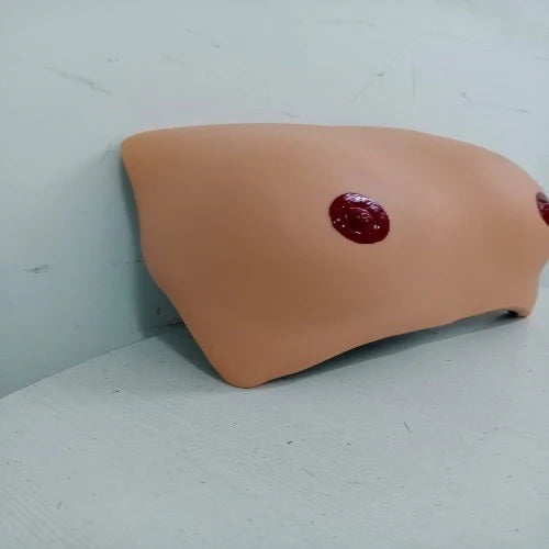 Breast Examination Model