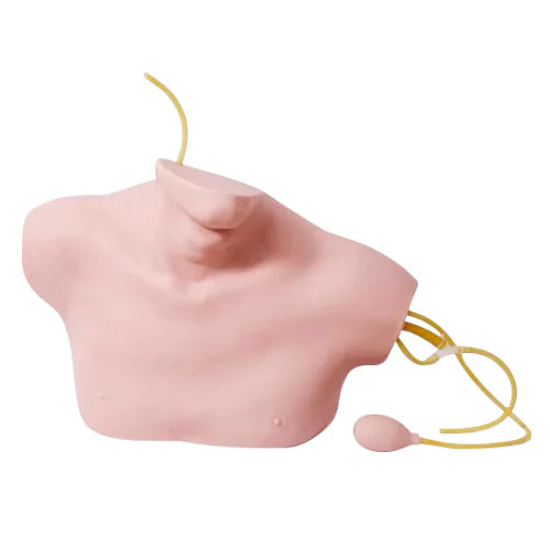 Central Venus Cannulation trainer