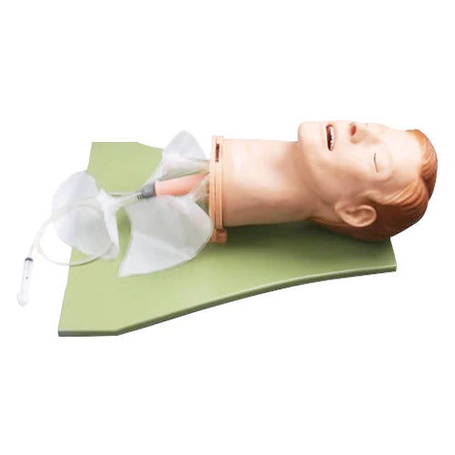 Multifunctional Airway Management Model