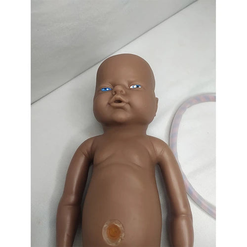 Baby with Placenta and Umbilical Cord