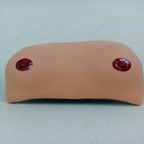 breast examination model