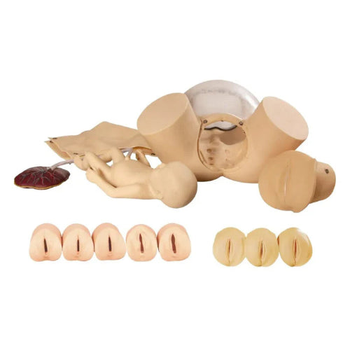 child birth skill training simulator