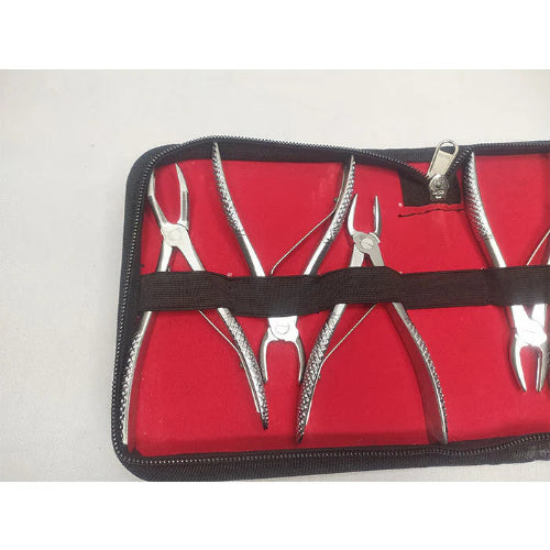 dental tooth forceps