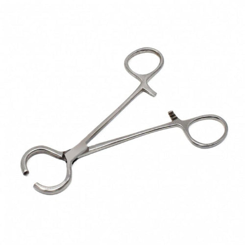 Hernia Ring SS Forceps