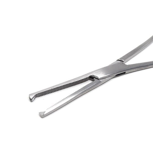 kochers forceps straight