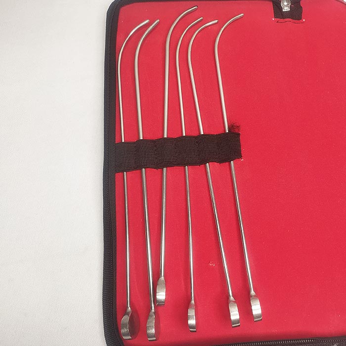 Urethral Lister Bougies Dilator Set of 12