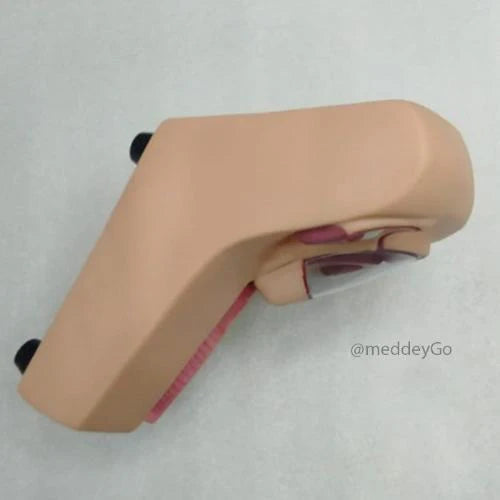 IUD Training Skin Model