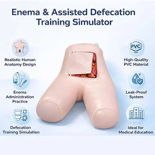 Flatus Tube Insertion Trainer for Enema & Nursing Practice