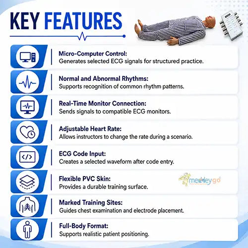 ECG training stimulator