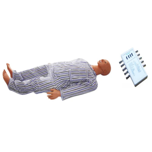 ECG training stimulator