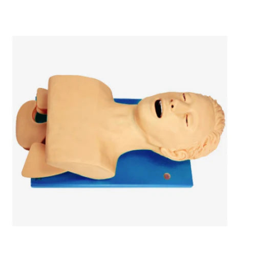 Electronic Trachea Intubation Model
