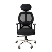 egonomic chair high back