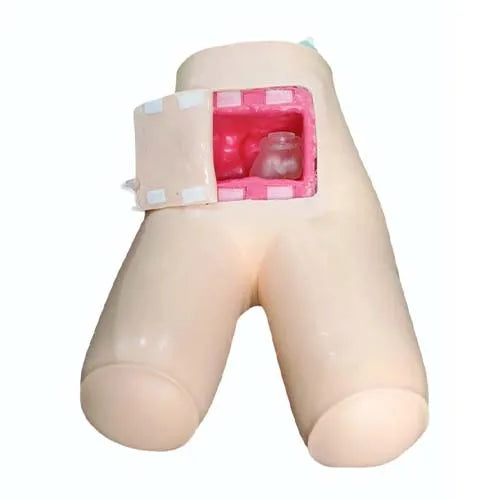 Flatus Tube Insertion Trainer for Enema & Nursing Practice