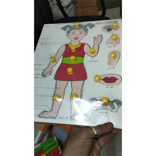 Girl Body Part Puzzle Board
