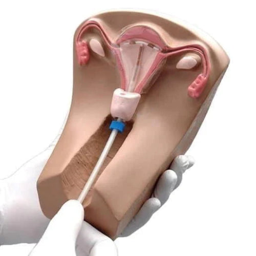 IUD Training Delux Model
