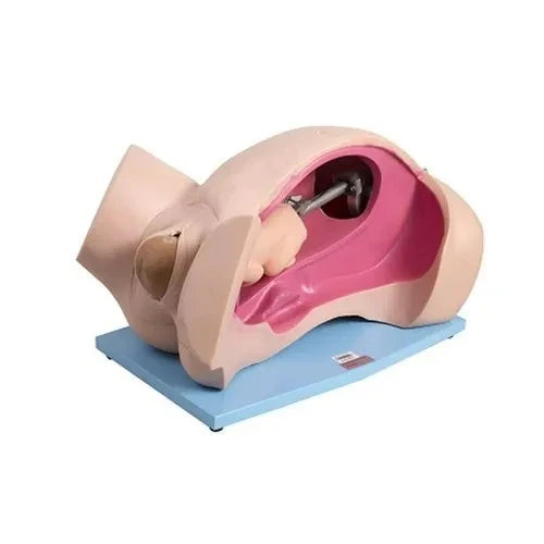 Model for Course of Delivery Leopold Maneuvers Simulator