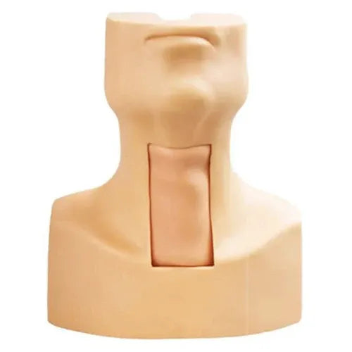 Tracheotomy and Endotracheal Intubation Model