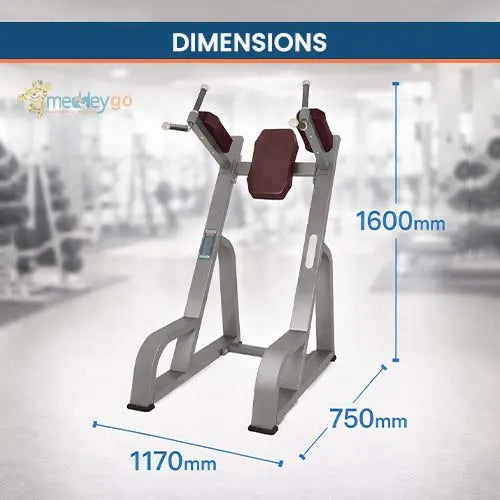  abdominal exercise tools