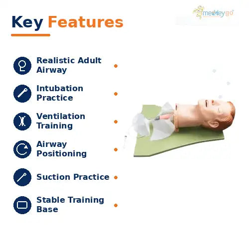 airway model