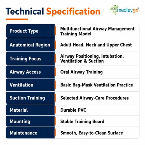 airway model 