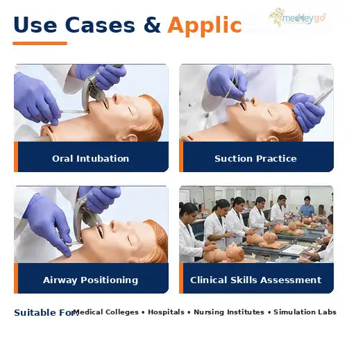 airway model