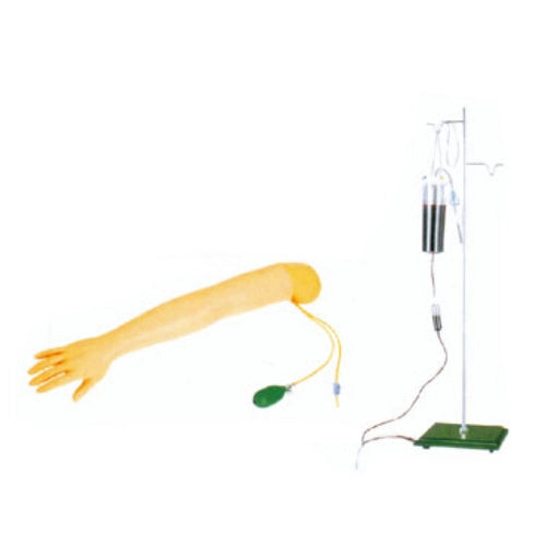 Arm Artery Puncture & Intramuscualr Injection Training Model