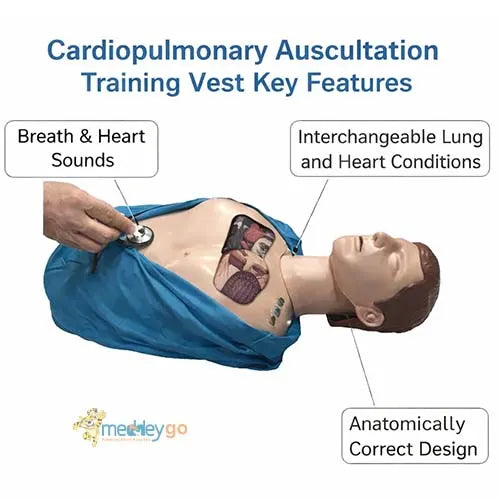 auscultation simulator