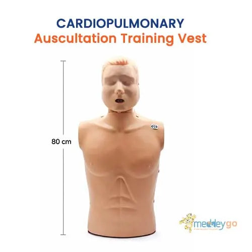 auscultation simulator