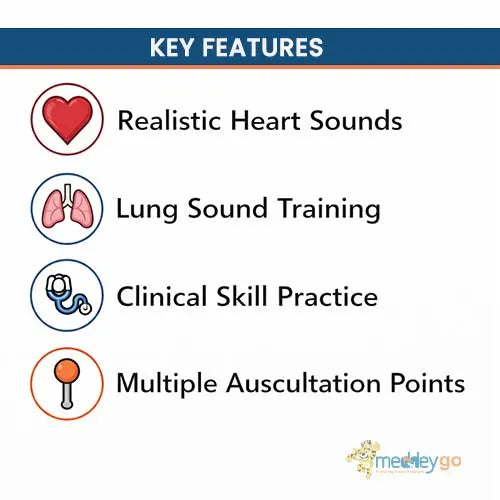 auscultation simulator