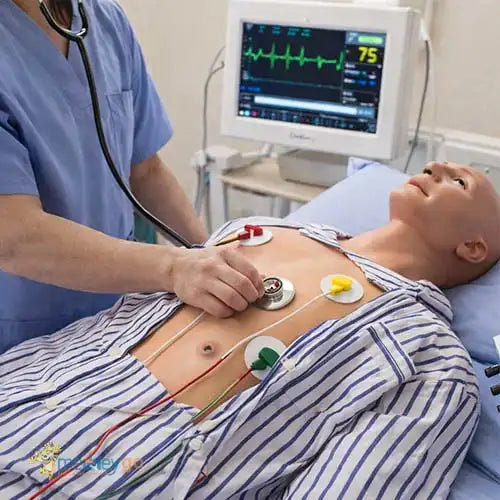 basic ecg