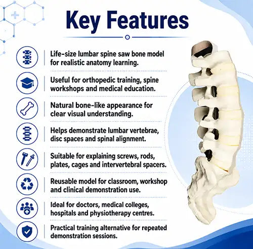 bone deluxe features