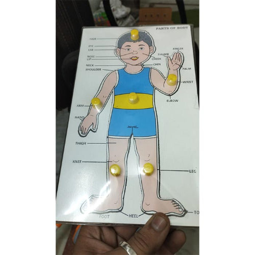 boy body part puzzle board