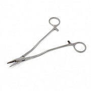 bozeman_needle