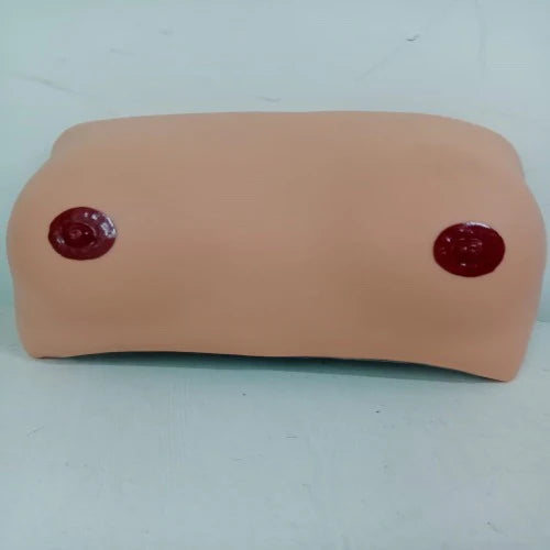 breast examination model