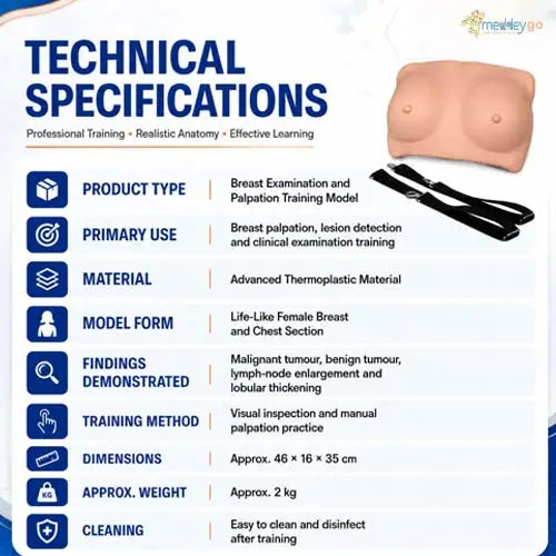breast examination model