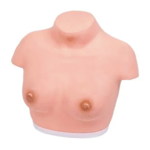 breast inspection model