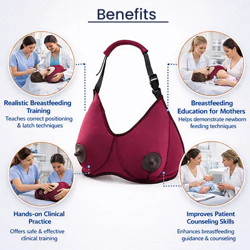 breastfeeding training model
