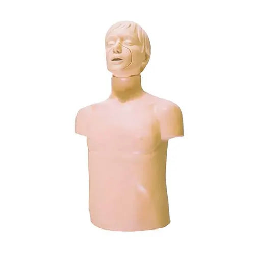 chest auscultation trainer