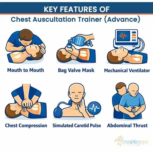 chest auscultation trainer