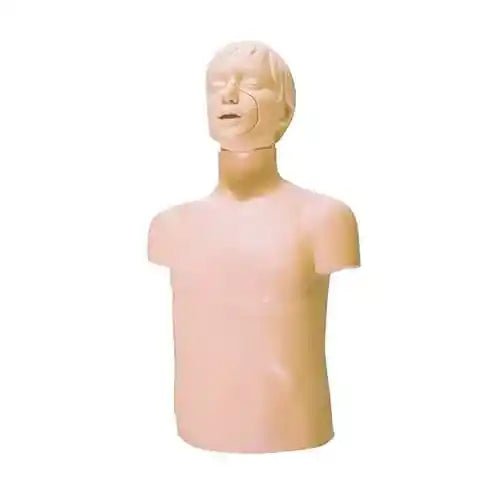 chest auscultation trainer 