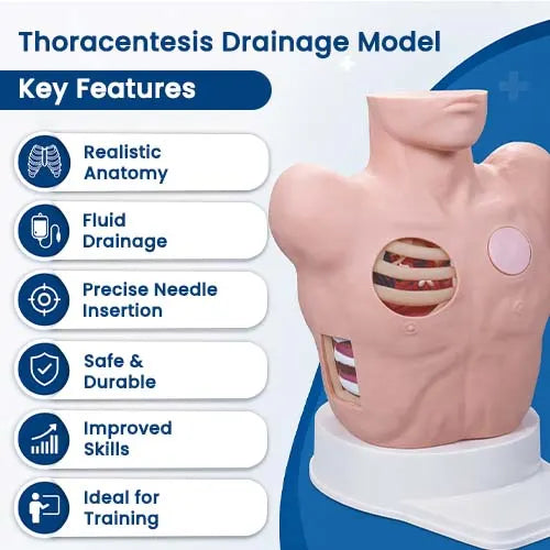 chest drainage training model