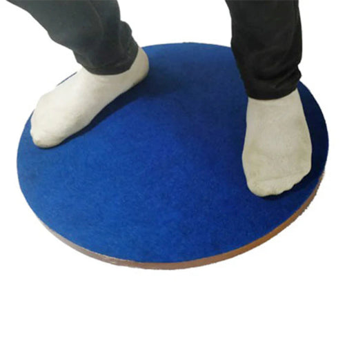 circular_wobble_board_clinic