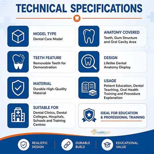 dental care model