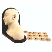 ear examination simulator