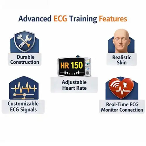 ecg 