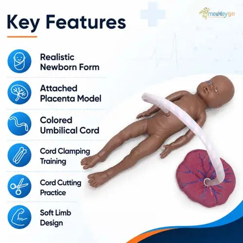 educational new born model 