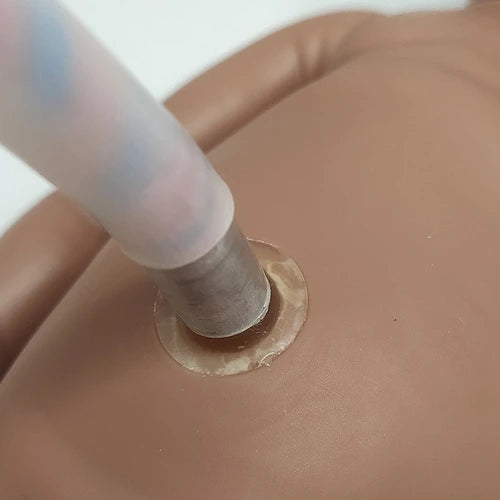 educational new born model