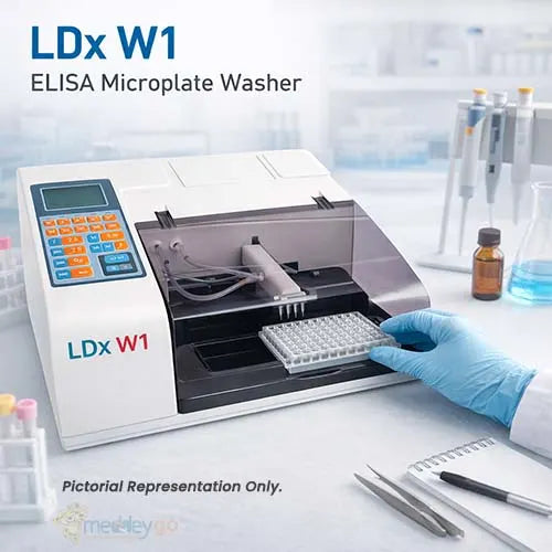 elisa washer