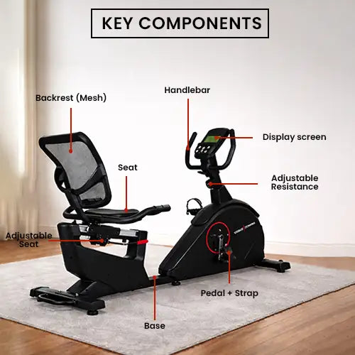 exercise bike for elderly