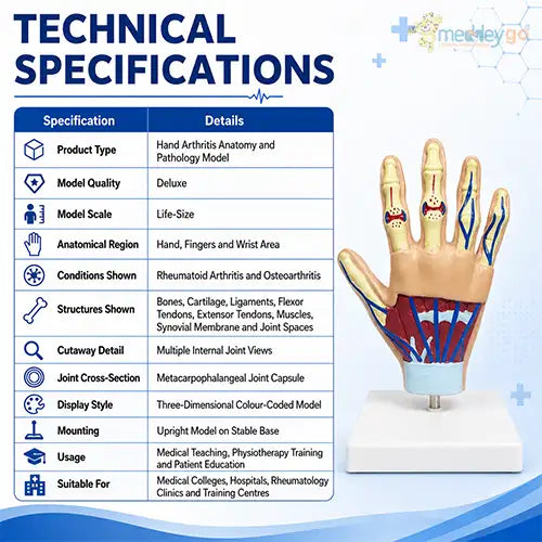 hand arthritis model